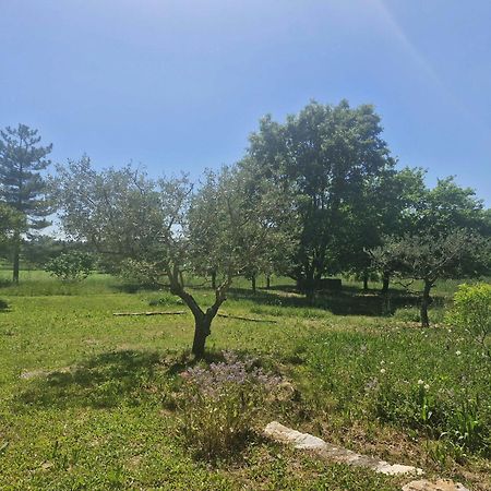 La Bastideta, Apartment Fayence Bagian luar foto