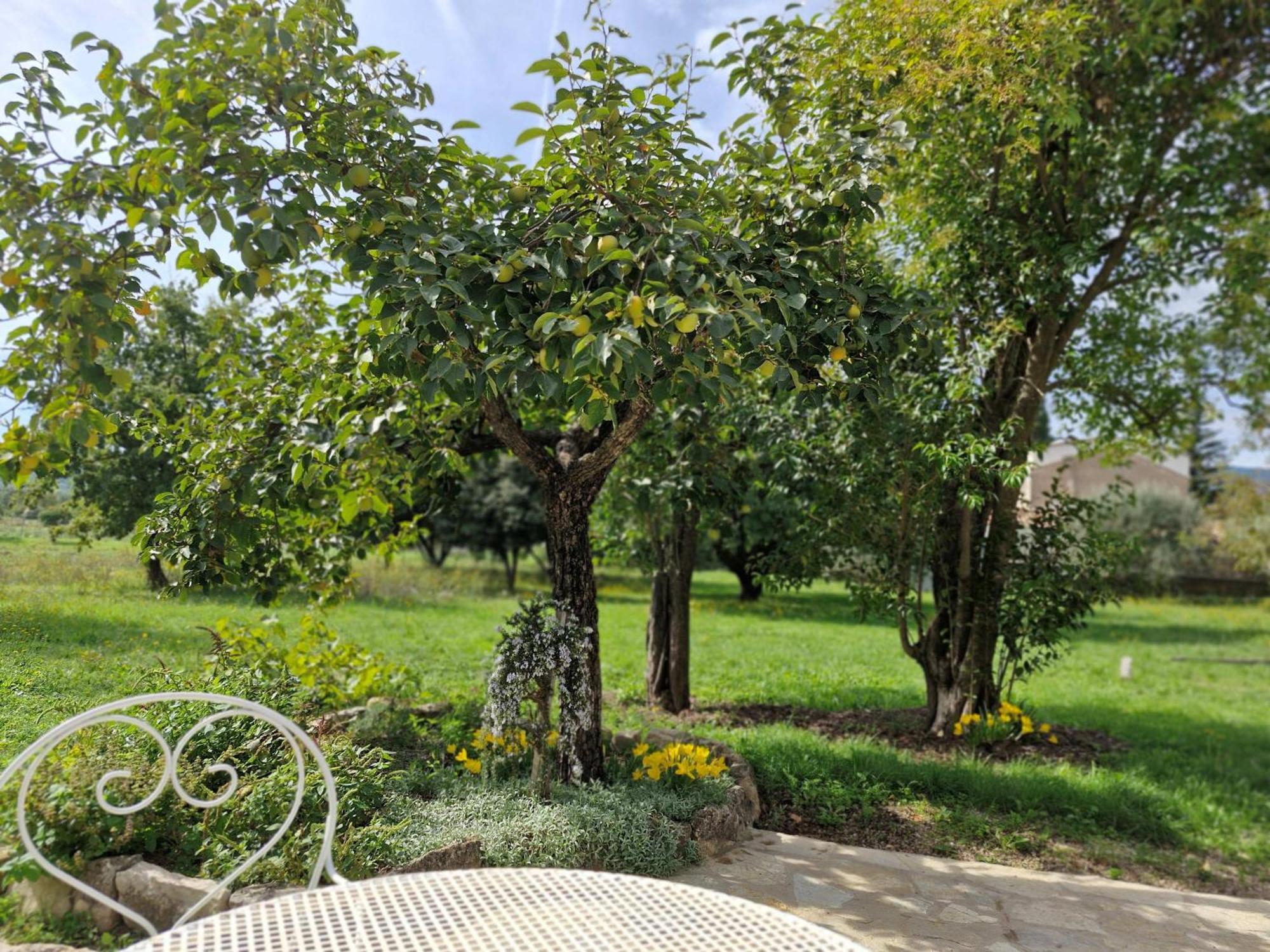 La Bastideta, Apartment Fayence Bagian luar foto