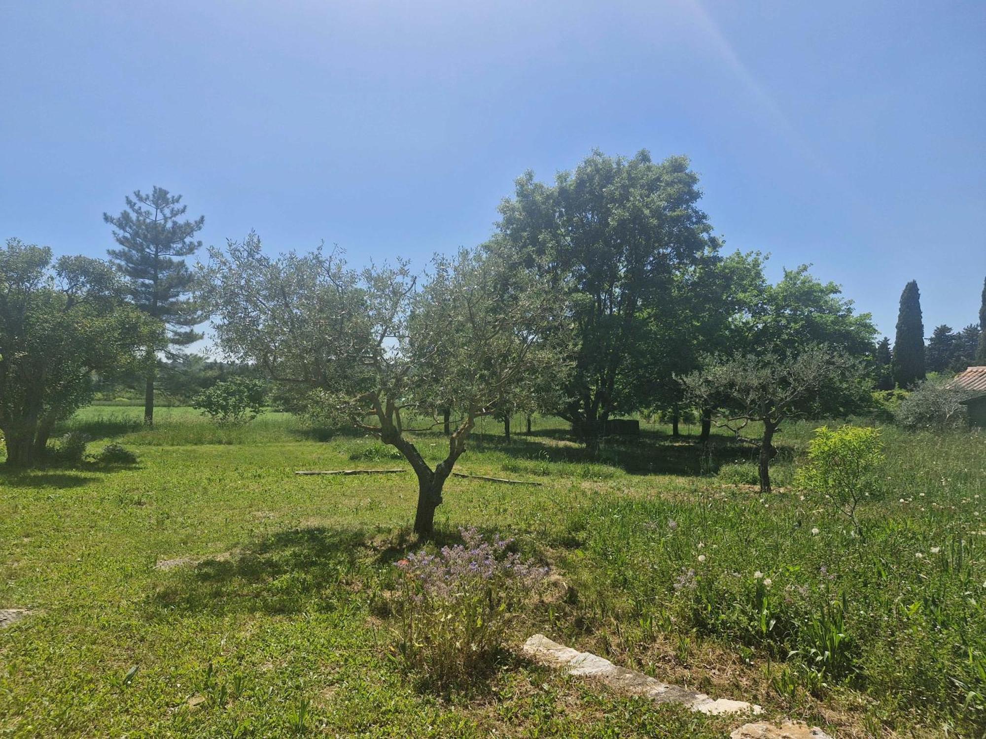 La Bastideta, Apartment Fayence Bagian luar foto