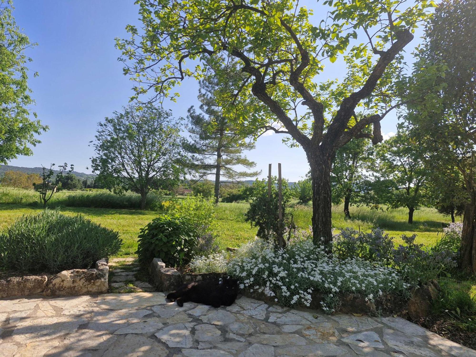 La Bastideta, Apartment Fayence Bagian luar foto